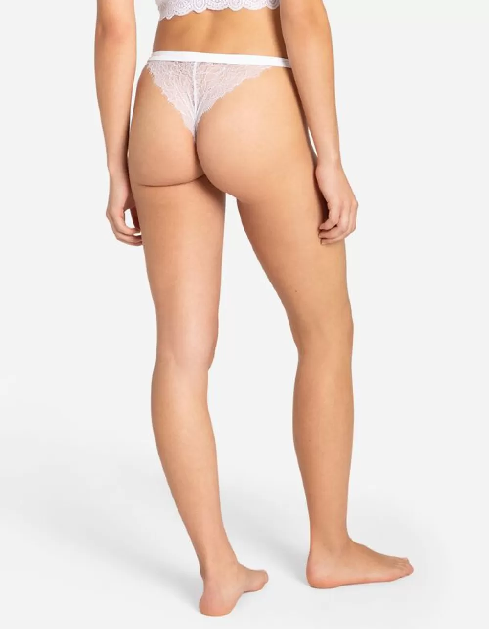 brazilian__kant_3-1.webp Store Flame Brazilian - Kant